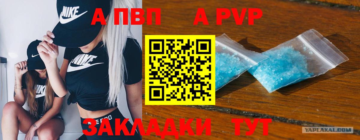 A-PVP СК КРИС Ростов Великий