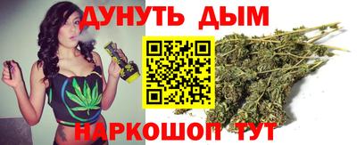 индика Пугачёв