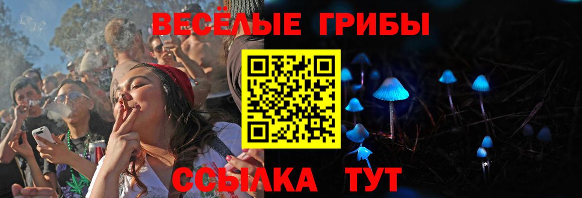 Ростов Великий  Галлюциногенные грибы GOLDEN TEACHER  даркнет сайт  Вход с VPN  Псилоцибиновые грибы MAGIC MUSHROOMS 
